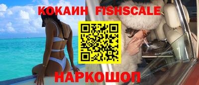 шишки Заводоуковск