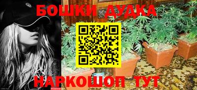 шишки Заводоуковск