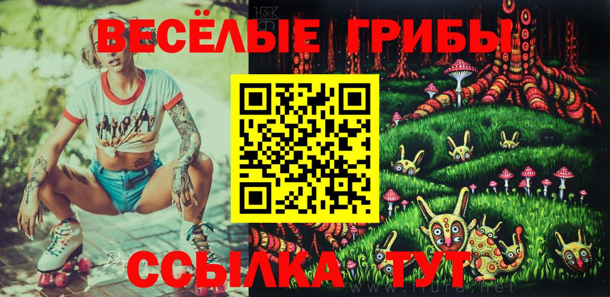 Галлюциногенные грибы мухоморы  магазин    Люберцы  Вход с VPN  Галлюциногенные грибы Cubensis 